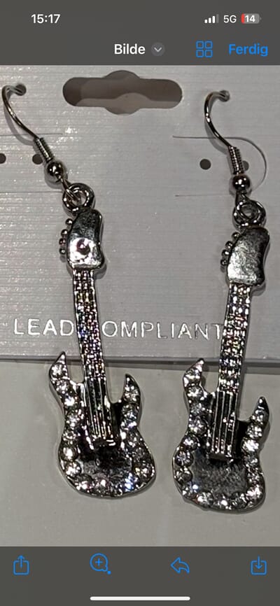 SE9 Gitaroredobber.jpeg