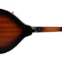 M20EAV_Rel MORGAN MANDOLIN M 20 E AV - 2.jpg
