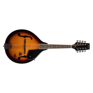 Morgan Mandolin M20E VS