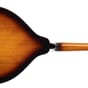 M20EVS_Rel MORGAN MANDOLIN M 20 E VS - 2.jpg