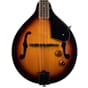 M20EVS_Rel MORGAN MANDOLIN M 20 E VS - 3.jpg