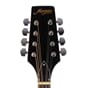M20EVS_Rel MORGAN MANDOLIN M 20 E VS - 4.jpg
