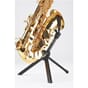 Instrumentstativ_Rel stativ sax jazz instrument .jpg