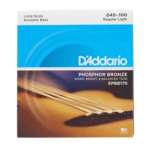 D'Addario Acoustic Bass Reg. Lt. 45-100