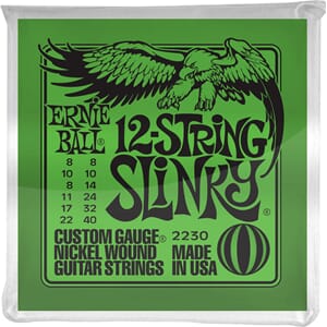 Ernie Ball 12-string Slinky