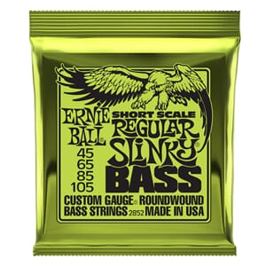 Ernie Ball Short Scale Bass Regular Slinky 45-105